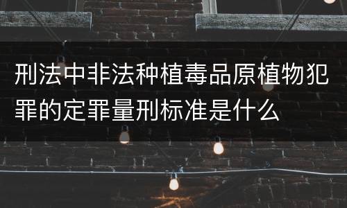 刑法中非法种植毒品原植物犯罪的定罪量刑标准是什么