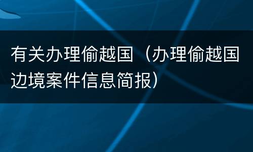 有关办理偷越国（办理偷越国边境案件信息简报）