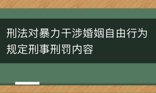 刑法对暴力干涉婚姻自由行为规定刑事刑罚内容