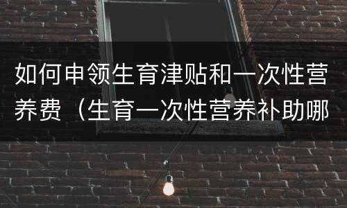 如何申领生育津贴和一次性营养费（生育一次性营养补助哪里领）
