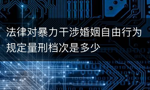 法律对暴力干涉婚姻自由行为规定量刑档次是多少