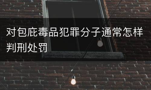 对包庇毒品犯罪分子通常怎样判刑处罚