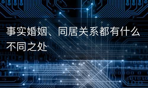 事实婚姻、同居关系都有什么不同之处
