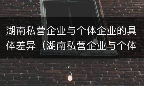 湖南私营企业与个体企业的具体差异（湖南私营企业与个体企业的具体差异是什么）