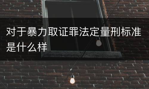 对于暴力取证罪法定量刑标准是什么样
