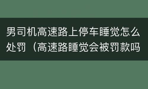 男司机高速路上停车睡觉怎么处罚（高速路睡觉会被罚款吗）