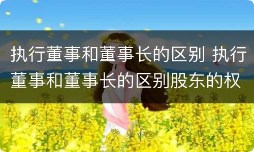 执行董事和董事长的区别 执行董事和董事长的区别股东的权利与义务
