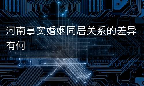 河南事实婚姻同居关系的差异有何