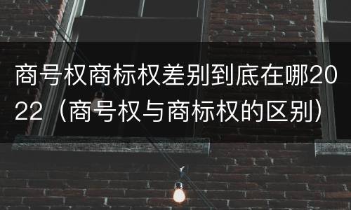商号权商标权差别到底在哪2022（商号权与商标权的区别）