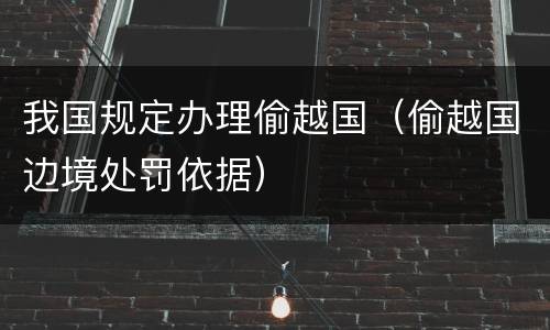我国规定办理偷越国（偷越国边境处罚依据）