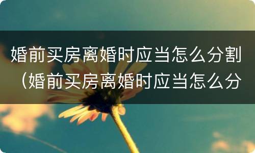 婚前买房离婚时应当怎么分割（婚前买房离婚时应当怎么分割房产）