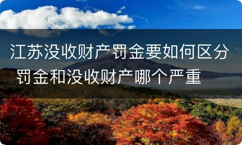 江苏没收财产罚金要如何区分 罚金和没收财产哪个严重