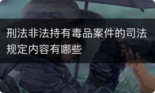 刑法非法持有毒品案件的司法规定内容有哪些