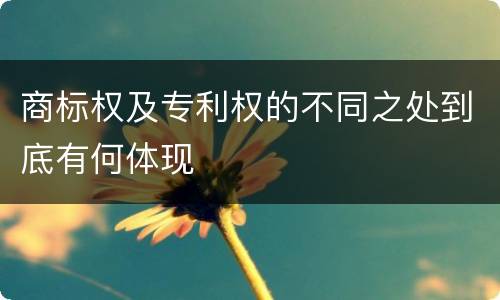 商标权及专利权的不同之处到底有何体现