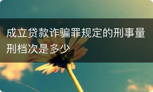 成立贷款诈骗罪规定的刑事量刑档次是多少