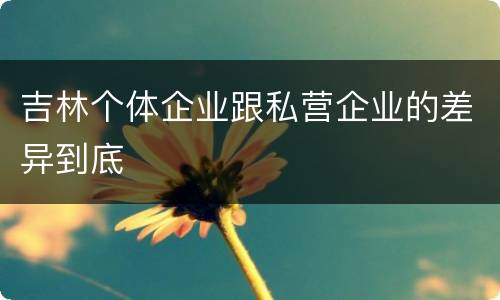 吉林个体企业跟私营企业的差异到底