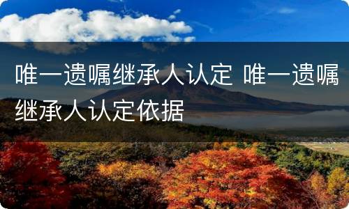 唯一遗嘱继承人认定 唯一遗嘱继承人认定依据