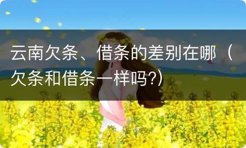 云南欠条、借条的差别在哪（欠条和借条一样吗?）