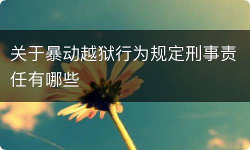 关于暴动越狱行为规定刑事责任有哪些
