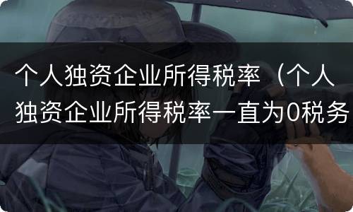 个人独资企业所得税率（个人独资企业所得税率一直为0税务局会不会来查你）