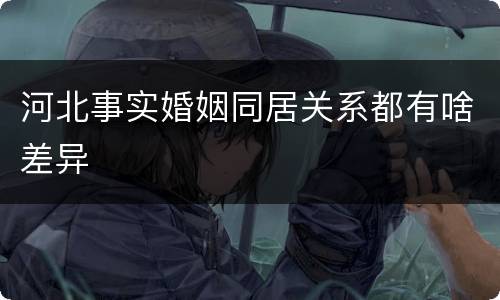 河北事实婚姻同居关系都有啥差异