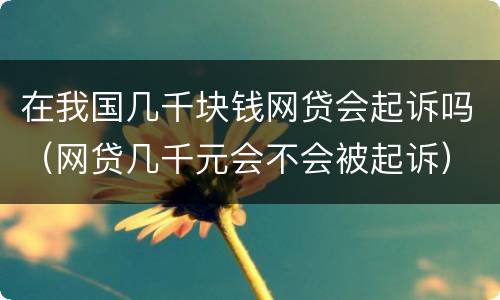 在我国几千块钱网贷会起诉吗（网贷几千元会不会被起诉）