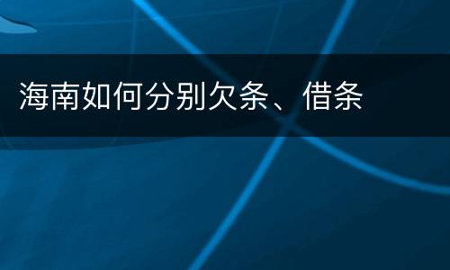 海南如何分别欠条、借条