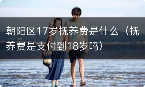 朝阳区17岁抚养费是什么（抚养费是支付到18岁吗）