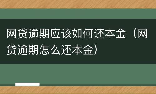 网贷逾期应该如何还本金（网贷逾期怎么还本金）