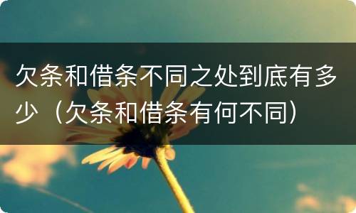 欠条和借条不同之处到底有多少（欠条和借条有何不同）