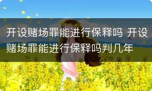 开设赌场罪能进行保释吗 开设赌场罪能进行保释吗判几年