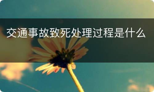 交通事故致死处理过程是什么