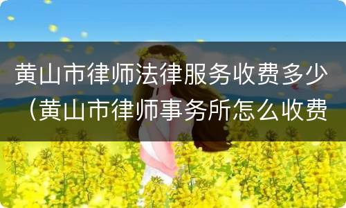 黄山市律师法律服务收费多少（黄山市律师事务所怎么收费?）