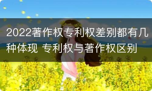2022著作权专利权差别都有几种体现 专利权与著作权区别