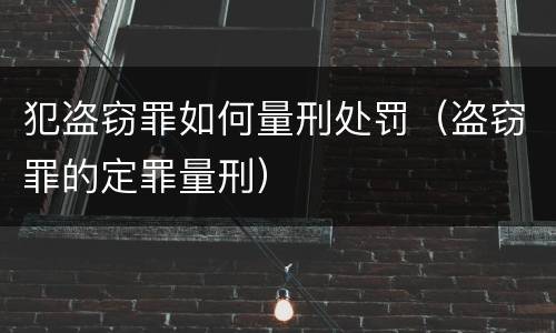 犯盗窃罪如何量刑处罚（盗窃罪的定罪量刑）