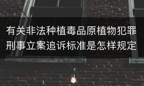 有关非法种植毒品原植物犯罪刑事立案追诉标准是怎样规定