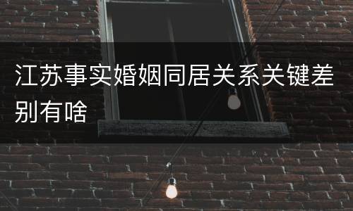 江苏事实婚姻同居关系关键差别有啥