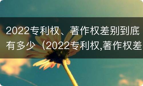 2022专利权、著作权差别到底有多少（2022专利权,著作权差别到底有多少种）