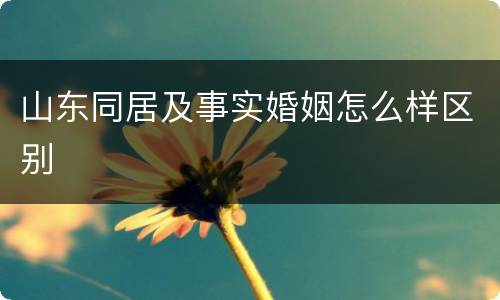 山东同居及事实婚姻怎么样区别