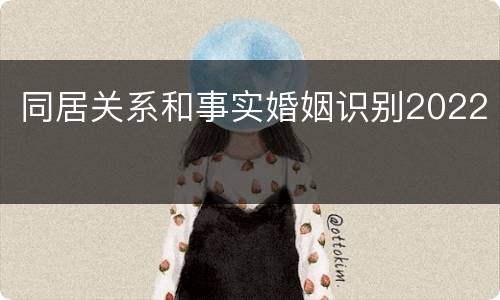 同居关系和事实婚姻识别2022