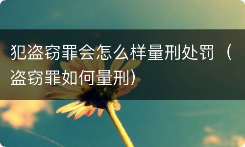 犯盗窃罪会怎么样量刑处罚（盗窃罪如何量刑）