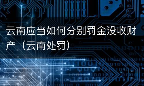 云南应当如何分别罚金没收财产（云南处罚）