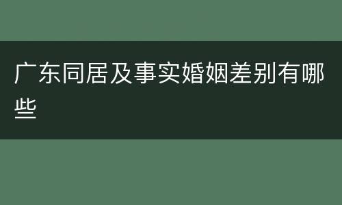广东同居及事实婚姻差别有哪些
