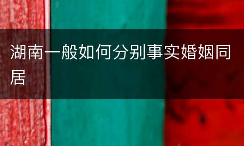 湖南一般如何分别事实婚姻同居