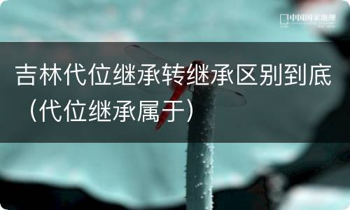 吉林代位继承转继承区别到底（代位继承属于）