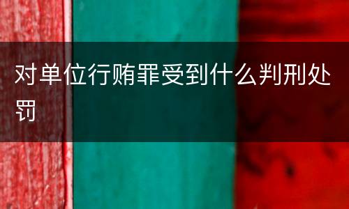 对单位行贿罪受到什么判刑处罚