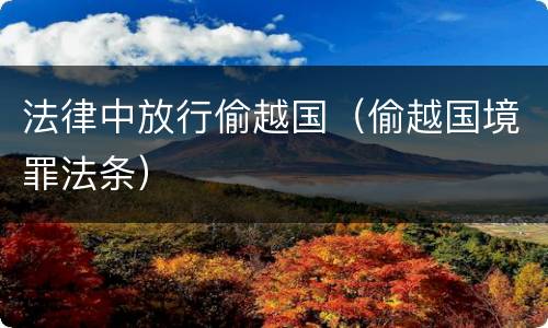 法律中放行偷越国（偷越国境罪法条）