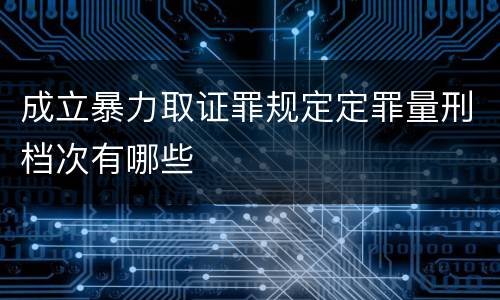 成立暴力取证罪规定定罪量刑档次有哪些