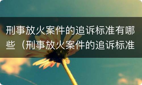 刑事放火案件的追诉标准有哪些（刑事放火案件的追诉标准有哪些要求）