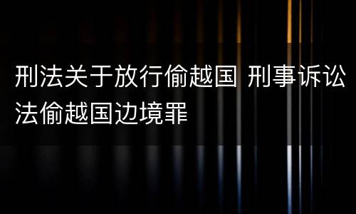 刑法关于放行偷越国 刑事诉讼法偷越国边境罪